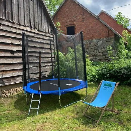 Ferienhaus Forest View