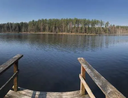 Forest View